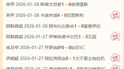 多特1-0胜霍芬海姆，布兰特巧射破门！延续七连胜，多特领跑德甲超越拜仁！