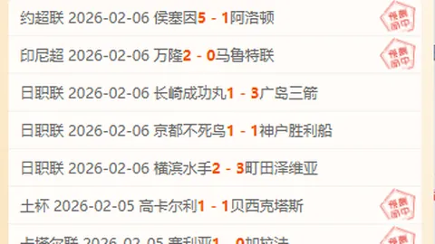 “布莱顿球迷点球判罚争议：金钱诱惑裁判，最终判罚被撤销”