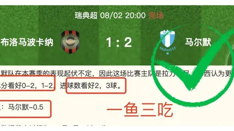 曼城紧急签约布阿，体育赛事投注，迪在即，马雷斯卡看好新援顶替席